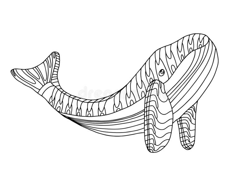 Wieloryb kolorowanki